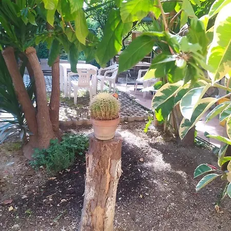 Casa Con Giardino Celestina *